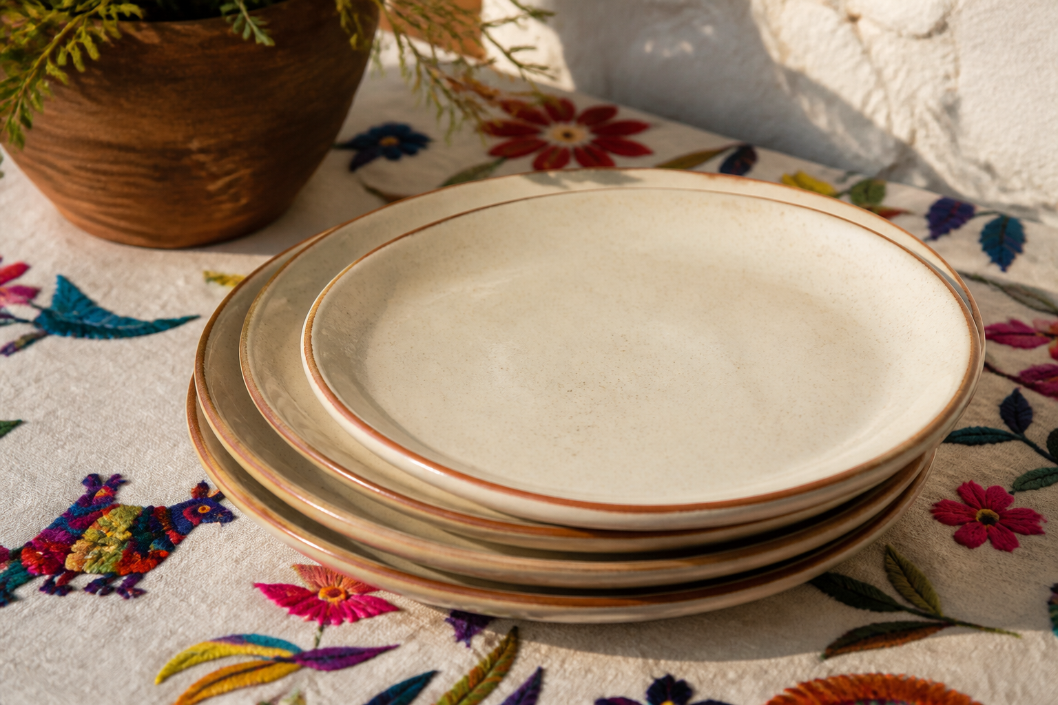 Ceramic dinner plates with terracotta rims
